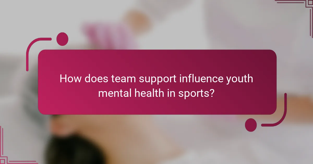 How does team support influence youth mental health in sports?