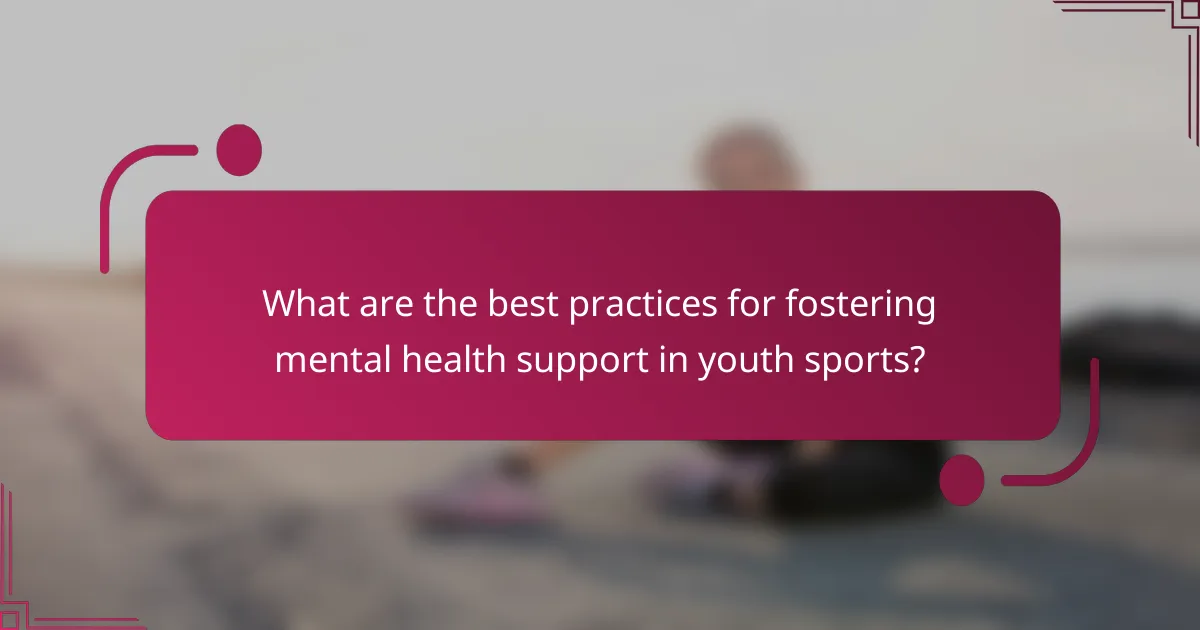 What are the best practices for fostering mental health support in youth sports?