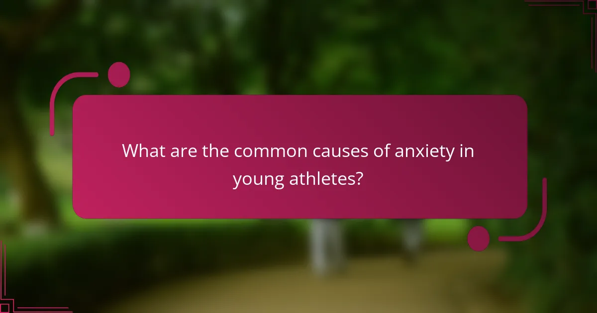 What are the common causes of anxiety in young athletes?