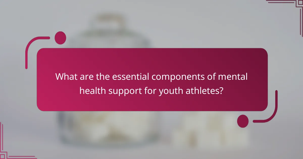 What are the essential components of mental health support for youth athletes?