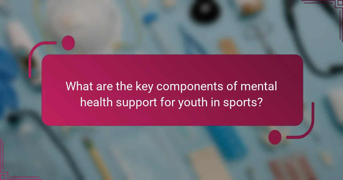 What are the key components of mental health support for youth in sports?