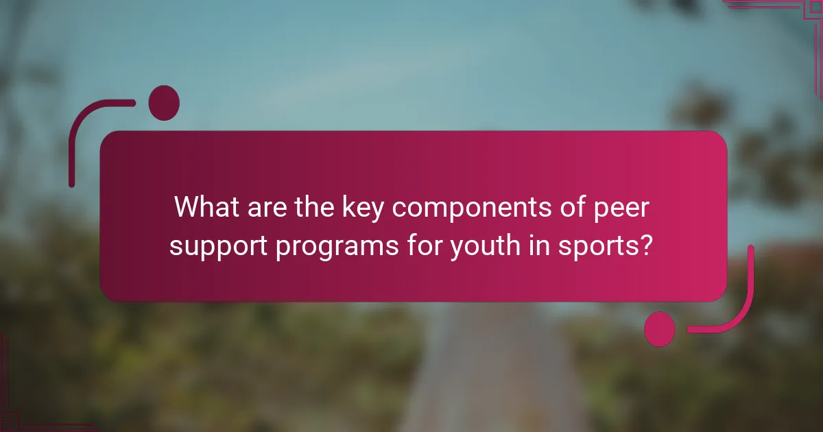 What are the key components of peer support programs for youth in sports?