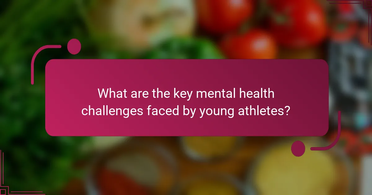 What are the key mental health challenges faced by young athletes?