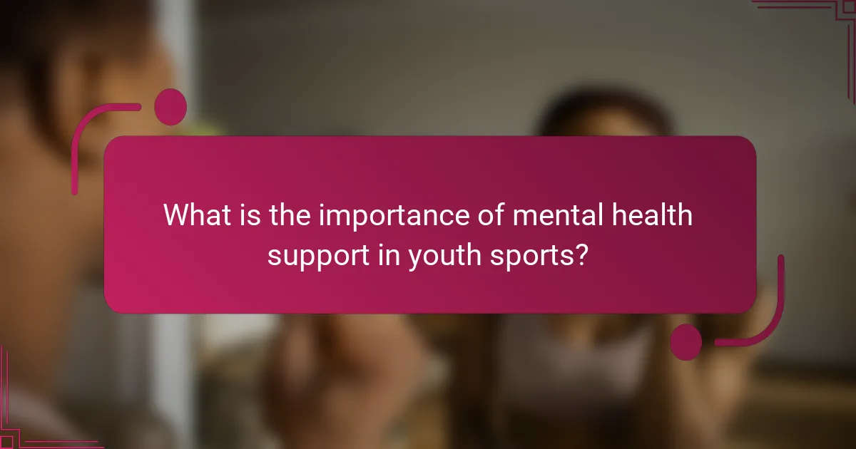 What is the importance of mental health support in youth sports?