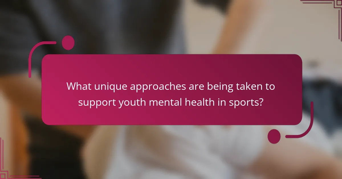 What unique approaches are being taken to support youth mental health in sports?
