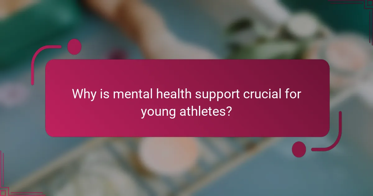 Why is mental health support crucial for young athletes?